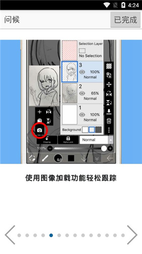 厄瓜多尔的蝴蝶